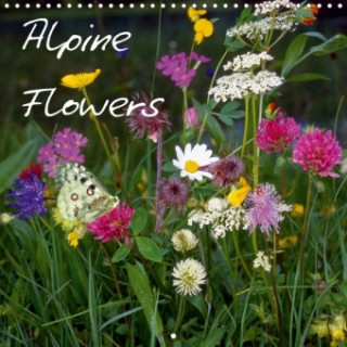 Alpine Flowers 2018