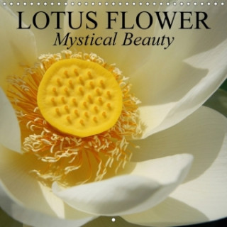 Lotus Flower - Mystical Beauty 2018