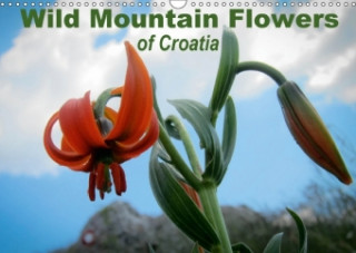 Wild Mountain Flowers of Croatia 2018