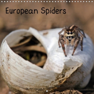 European Spiders 2018
