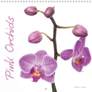 Pink Orchids 2018
