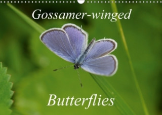 Gossamer-Winged Butterflies 2018