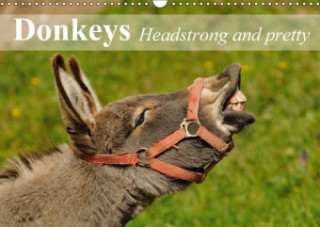 Donkeys Headstrong and Pretty 2018