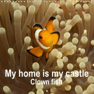 My Home is My Castle - Clown Fish 2018