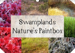 Swamplands Nature's Paintbox 2018