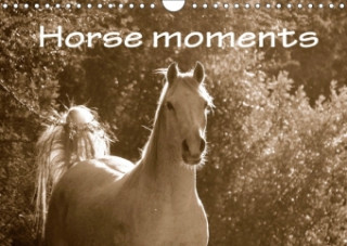 Horse Moments 2018