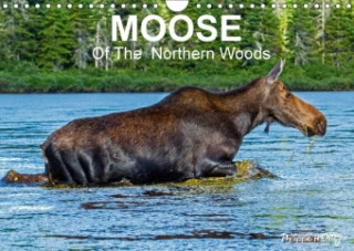 Moose of the Northern Woods 2018
