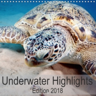 Underwater Highlights Edition 2018 2018