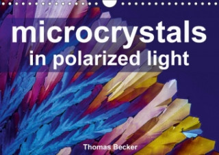 Microcrystals in Polarized Light 2018