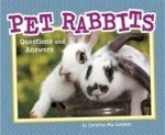 Pet Questions and Answers Pack A of 6
