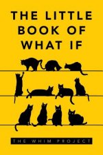 Little Book of What If