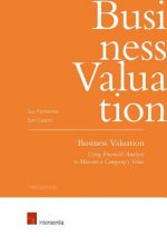 Business Valuation (third edition)