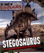 Stegosaurus