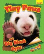 Whose Little Baby are You?