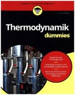 Thermodynamik fur Dummies 2e