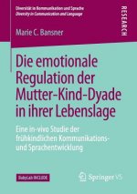 Die Emotionale Regulation Der Mutter-Kind-Dyade in Ihrer Lebenslage
