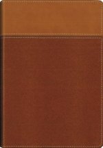 NIV, Thinline Bible, Imitation Leather, Tan, Red Letter Edition