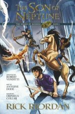The Heroes of Olympus 2: The Son of Neptune