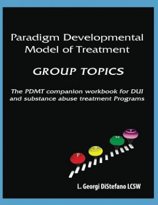 PARADIGM DEVELOPMENTAL MODEL O