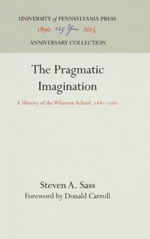 Pragmatic Imagination