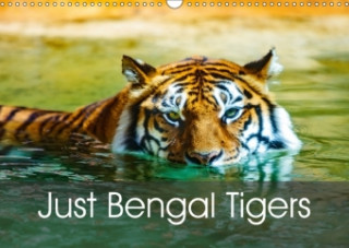 Just Bengal Tigers (Wall Calendar 2018 DIN A3 Landscape)