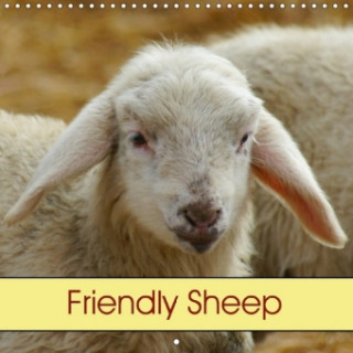 Friendly Sheep (Wall Calendar 2018 300 × 300 mm Square)