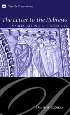 Letter to the Hebrews in Social-Scientific Perspective