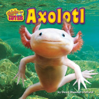 Axolotl