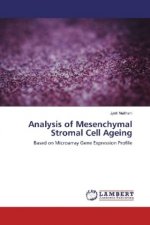 Analysis of Mesenchymal Stromal Cell Ageing