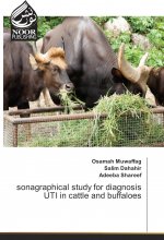 sonagraphical study for diagnosis UTI in cattle and buffaloes