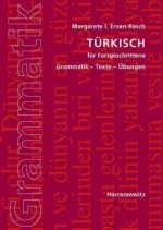 Türkisch für Fortgeschrittene