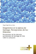 Diagnóstico en la Iglesia de Santiago: Percepciones de los Diáconos