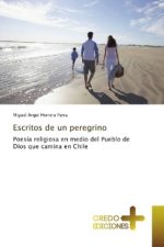 Escritos de un peregrino