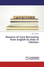 Reasons of Core Borrowing from English to Urdu in Pakistan