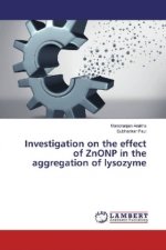 Investigation on the effect of ZnONP in the aggregation of lysozyme