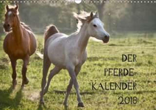 Pferdekalender (Wandkalender 2018 DIN A3 quer)