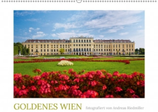 Golden Wien fotografiert von Andreas Riedmiller (Wandkalender 2018 DIN A2 quer)