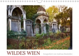 Wildes Wien fotografiert von Andreas Riedmiller (Wandkalender 2018 DIN A4 quer)