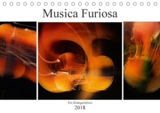 Musica Furiosa (Tischkalender 2018 DIN A5 quer)