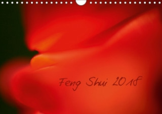 Feng Shui 2018 / Geburtstagskalender (Wandkalender 2018 DIN A4 quer)