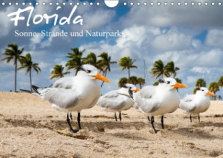 Florida - Sonne, Strände und Naturparks (Wandkalender 2018 DIN A4 quer)