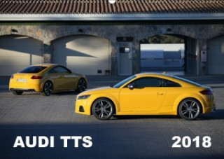 Audi TTS (Wandkalender 2018 DIN A2 quer)