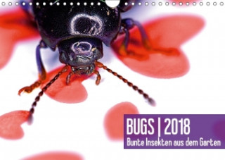 BUGS 2018, Bunte Insekten aus dem GartenAT-Version (Wandkalender 2018 DIN A4 quer)