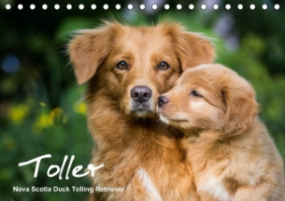 Toller - Nova Scotia Duck Tolling Retriever (Tischkalender 2018 DIN A5 quer)