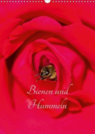 Bienen und Hummeln (Wandkalender 2018 DIN A3 hoch)