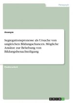 Segregationsprozesse als Ursache von ungleichen Bildungschancen. Mögliche Ansätze zur Behebung von Bildungsbenachteiligung