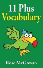 11 Plus Vocabulary