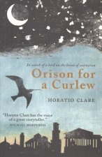 Orison for a Curlew