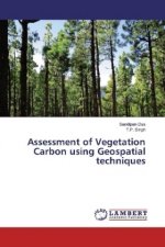 Assessment of Vegetation Carbon using Geospatial techniques