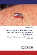 The Economic implications on the effects of Malaria Epidemic